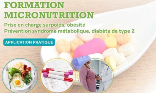 Prise en charge micronutritionnelle du surpoids et de l’obésité : volet 2, applications pratiques