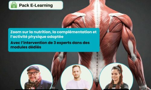 Santé musculaire